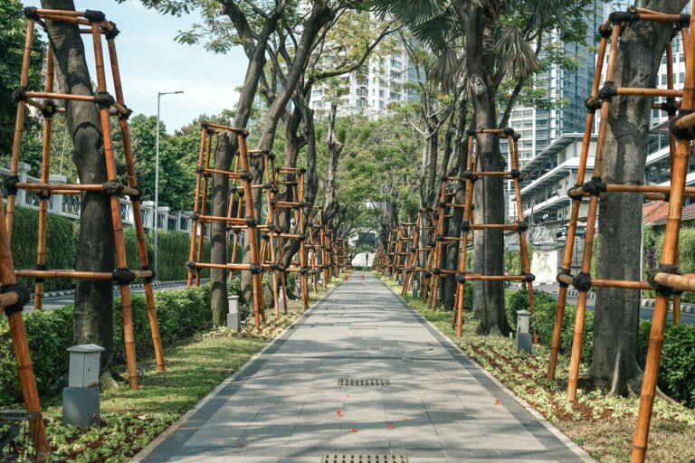 A paved walkway lined with trees supported by wooden frames, situated in a modern city park.