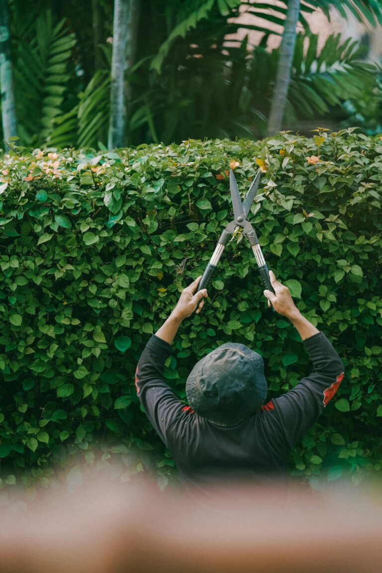 Building a Loyal Blog Audience: Strategies for Engagement and Growth